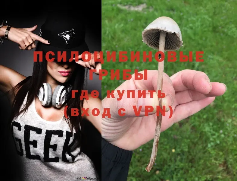 Галлюциногенные грибы Cubensis  Горняк 